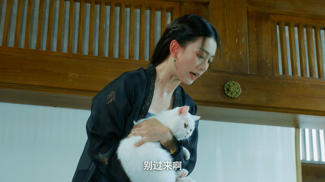 《雪中悍刀行》鱼幼薇为何被称为奶甲?低头不见脚尖已是人间绝色