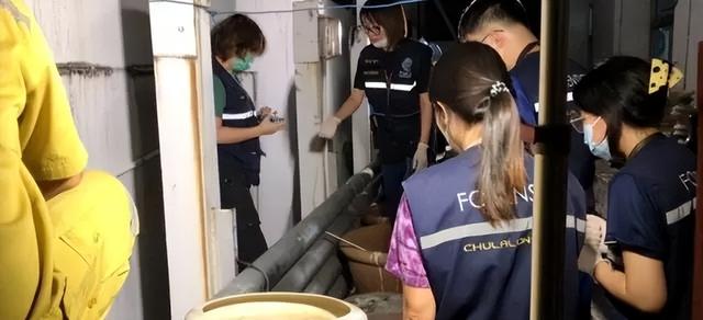 5月过完，5位名人离世！前央视主持坠楼身亡，72岁港星因肺炎去世