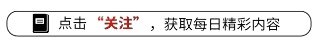 反腐无死角!邳州住建局原掌门人陈少辉自首,揭秘官场风云