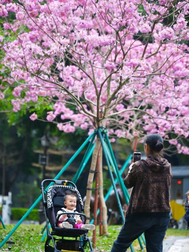 广州,不一“young”!