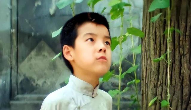 海一天:不靠当领导的父亲,46岁才走红,娶二婚妻子待继子如亲生