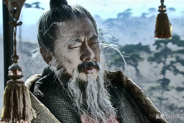 龙生九子,各不相同:论魏武系诸王