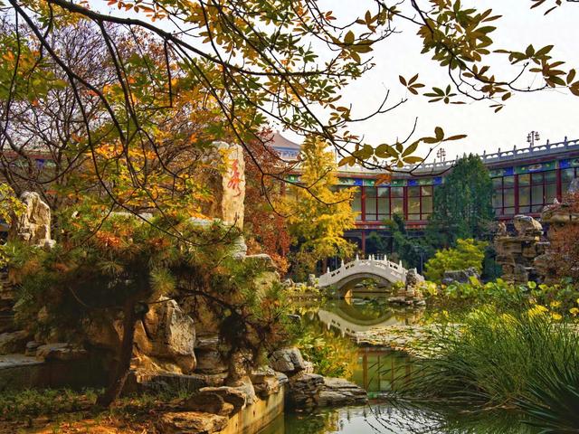 河北香河:斑斓秋色,精致小景