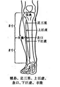 小满即安,健脾化湿正当时