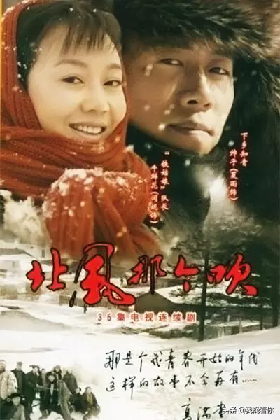 姐妹篇电视剧《北风那个吹》《雪花那个飘》感怀浪漫而青涩的年代