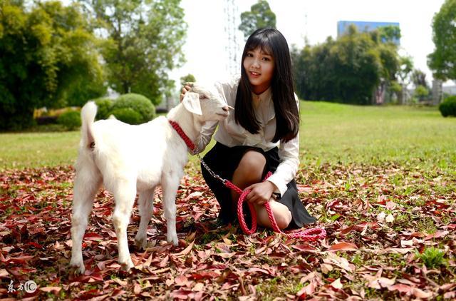 小说：师父调教徒弟：你尽管出手！可30分钟后师父竟招架不住了