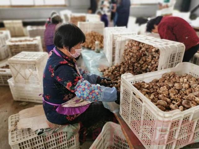 嵩山坳里长出“美丽经济”——山区脱贫攻坚的登封实践