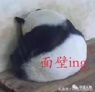看了看张震的亲朋好友，才知道他为什么气质爆棚
