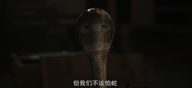 一女三男,这片全程高能