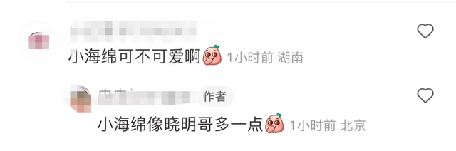 黄晓明带娃现身亲子餐厅,5岁小海绵打扮时尚,侧脸曝光酷似爸爸
