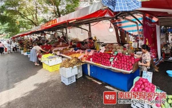1元1个!广西人实现火龙果自由,“现在最便宜”