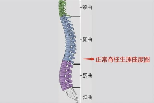 体医科普|春节假期避免掉入“葛优躺”陷阱