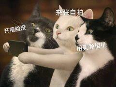 全球最大暗网儿童色情网站被捣毁!