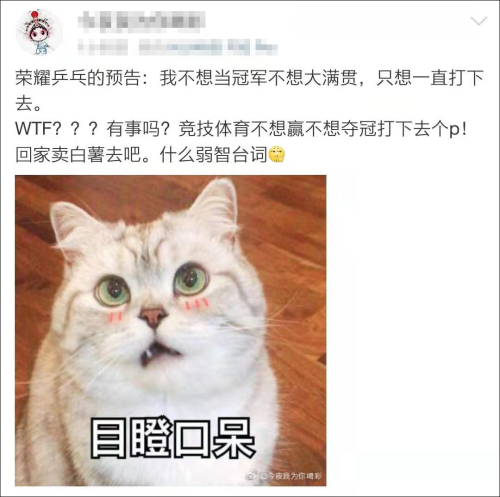 “我只想一直打下去”《荣耀乒乓》里的这句词,让网友无语……