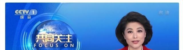 央视主持人神秘消失,果欣禹临危救场,团队展现专业素养