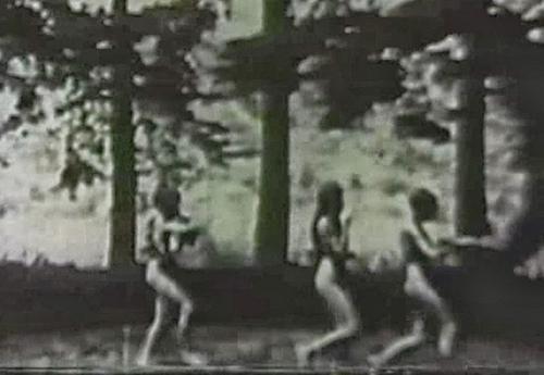 少年，跟着古人学学如何紫薇吧