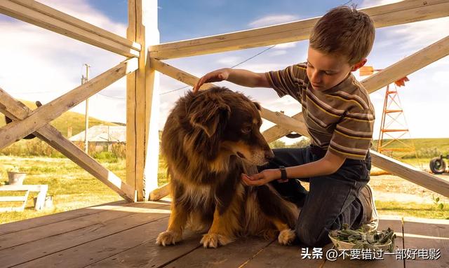 40部来自全球各种文化的优秀儿童电影,很多也适合父母一起观看。