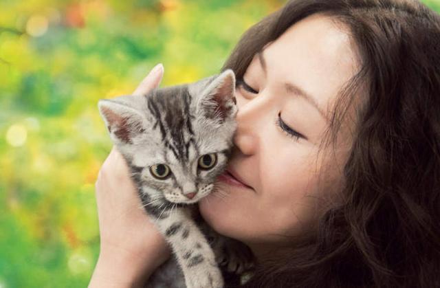 @铲屎官!这10部关于猫的影片你都看过吗?“国际猫咪日”边撸猫边看电影吧
