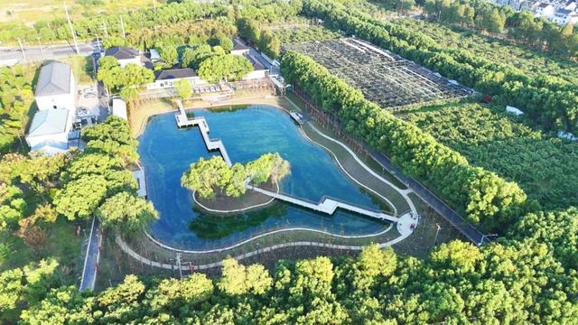喜讯!青浦区4个乡村振兴示范村顺利通过市级复核评估