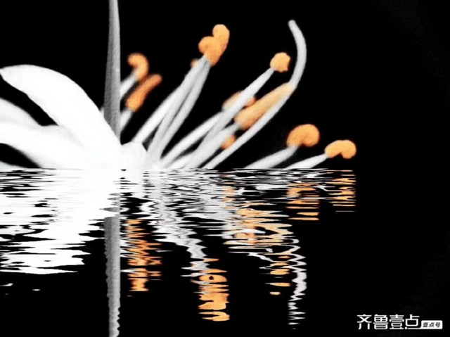 身边的她|最不聪明的老板,风一样的女子