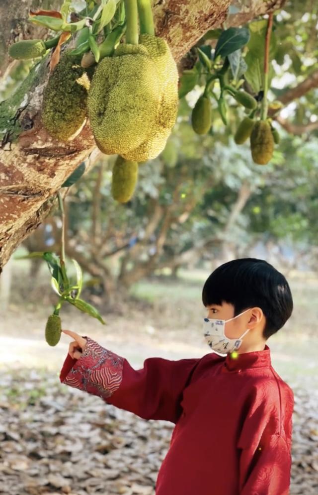 41岁迟帅承认已有娃!曾与姚笛相恋7年被甩,儿子身高到爸爸腰部