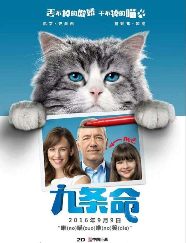 @铲屎官!这10部关于猫的影片你都看过吗?“国际猫咪日”边撸猫边看电影吧