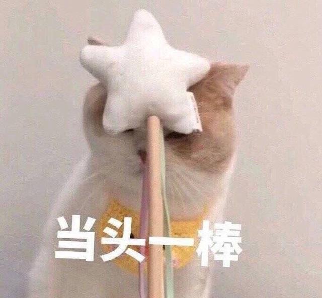 《重生》剧情太烧脑!张译开篇就腿瘸失忆,拿的苦情女主剧本?