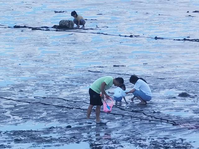 晋江塘东村的如意沙堤(即触角沙滩)