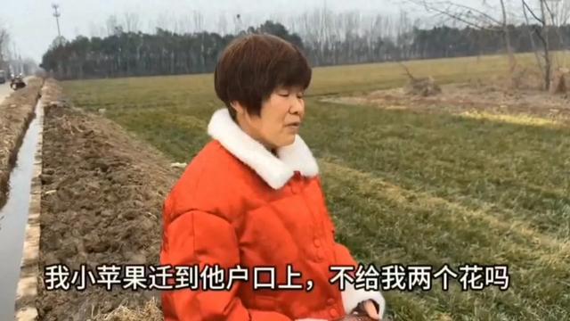 王美丽的好婆婆,老三刚过了年,没有钱花了