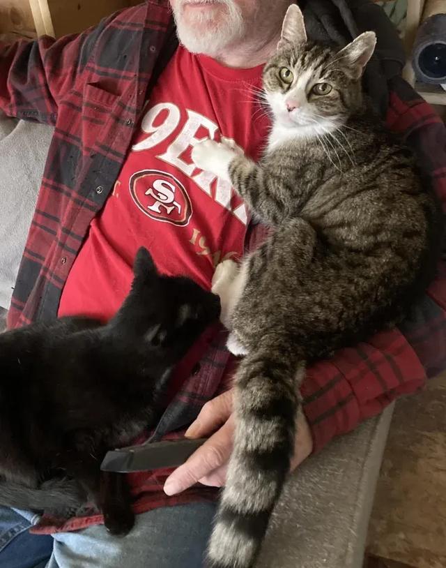被遗弃的21岁老猫,遇见好心人,并承诺给它最美好的余生