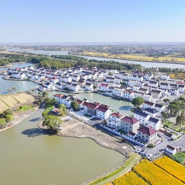 喜讯!青浦区4个乡村振兴示范村顺利通过市级复核评估