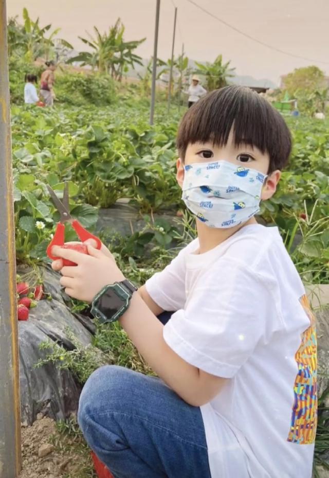 41岁迟帅承认已有娃!曾与姚笛相恋7年被甩,儿子身高到爸爸腰部