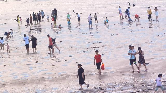 晋江塘东村的如意沙堤(即触角沙滩)