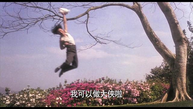 “鳝鱼功”大战“蝎子功”,最正宗的“无影脚”,低成本冷门佳作