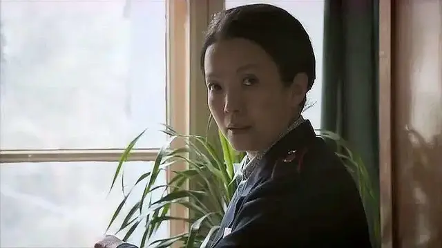 《你是我兄弟》主演现状:女主董洁走下坡路,女配角却大红大紫