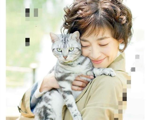 @铲屎官!这10部关于猫的影片你都看过吗?“国际猫咪日”边撸猫边看电影吧