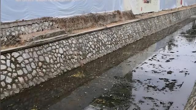 惊奇!发现新物种,就在……