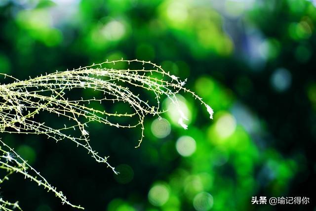 贵州女孩找一个双胞胎男友,不知道谁是哥哥,谁是弟弟经常认错
