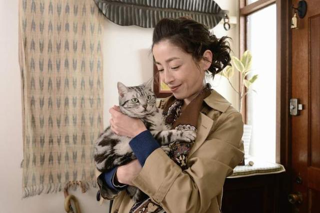 @铲屎官!这10部关于猫的影片你都看过吗?“国际猫咪日”边撸猫边看电影吧