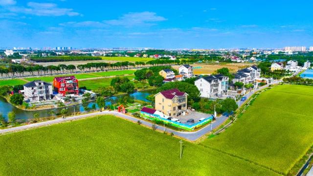 喜讯!青浦区4个乡村振兴示范村顺利通过市级复核评估