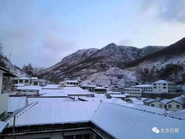 海淀惊现“金光大道”!美到爆!