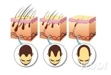 《想见你》男主许光汉新电影,女主发量惹人羡慕