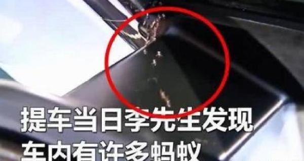 男子花30万买新车不料车内竟暗藏数个蚂蚁窝,维修5天还有蚂蚁