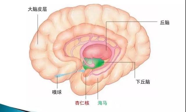 当窗户玻璃上出现一张脸,最怕空气突然安静