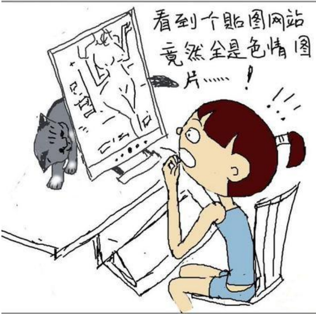 色情网站“丁香”覆灭记:7.3亿的浏览量背后,是谁在操控盈利
