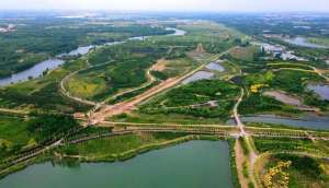 水草丰茂(水草丰茂鸥鹭飞，风韵如梦里水乡夏日济南湿地景色美)