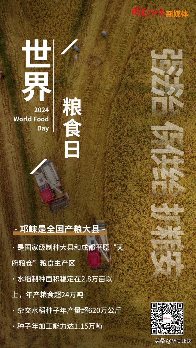2024世界粮食日：请好好吃饭，不浪费每一粒粮食