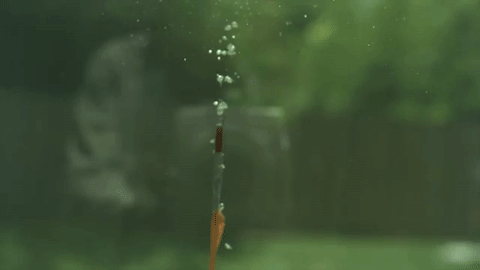 驻波,竟然还可以这么好看!!!