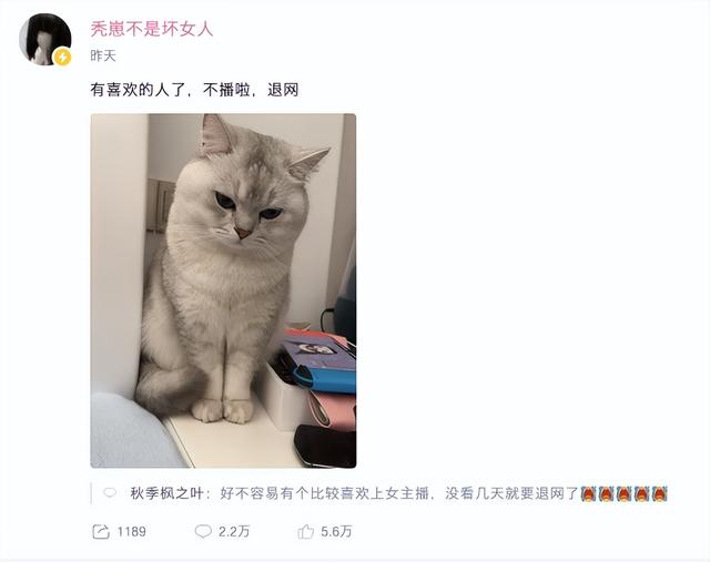 一夜爆火的“秃崽劝导”,从狂赚百万到黑料缠身退网?
