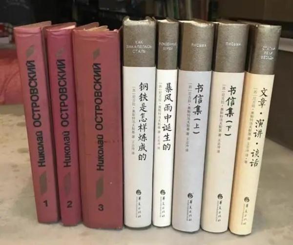 上海翻译家王志冲去世,他用自强一生证明《钢铁是怎样炼成的》